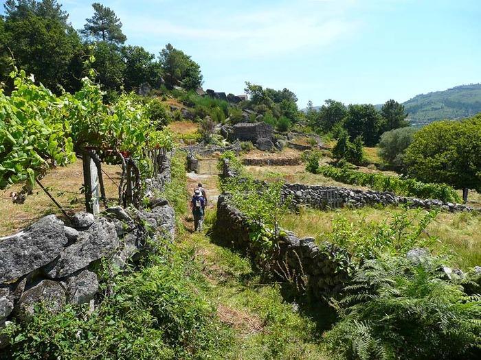 소아주 Casa Da Gandarela 빌라 외부 사진
